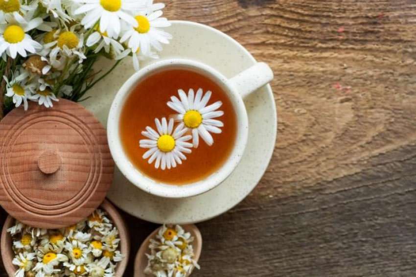 Teezubereitungen – Heilpflanzen-Tee